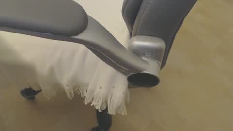 09seb09 online show from 04-17-26, 07:28