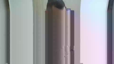 trkshmn online show from 03-01-25, 09:51