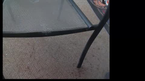 Snapshot of 10mm_socket chatting on 09-29-25, 01:33 10mm_socket online show from 09-29-25, 01:33