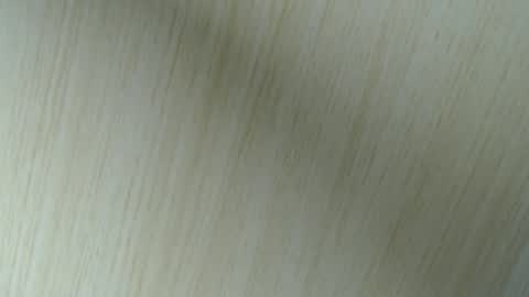 Snapshot of 11willowandjohn11 chatting on 04-18-26, 02:48 Aurora Willows online show from 04-18-26, 02:48