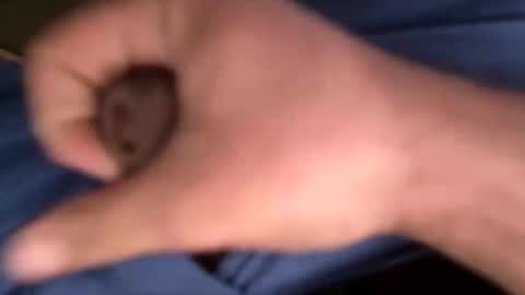 12theose online show from 02-07-26, 10:30