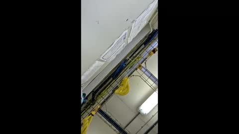 1971berliner online show from 02-24-26, 12:03