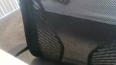 Snapshot of 1chris505 chatting on 01-02-25, 06:01 1chris505 online show from 01-02-25, 06:01