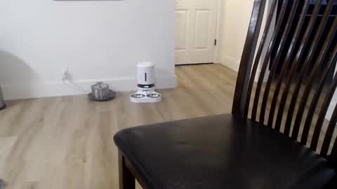 Snapshot of 1dad2plz chatting on 11-09-25, 02:59 i erupt if you suck ur nipples 4 me and look at the camera while watching me online show from 11-09-25, 02:59