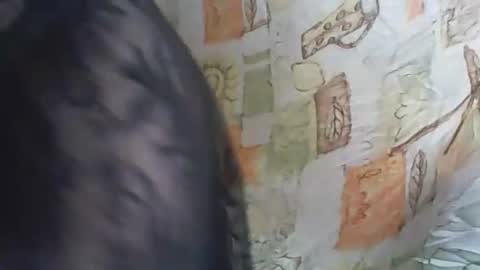 Snapshot of 1deluxepussy chatting on 11-14-25, 10:03 Deluxepussy online show from 11-14-25, 10:03