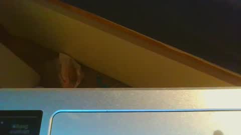 Snapshot of 1lovenaturals chatting on 12-15-24, 08:58 Jason online show from 12-15-24, 08:58