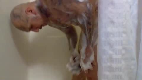 TheShyOne18 online show from 03-04-26, 07:25