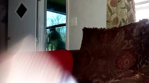 BlacJewels online show from 02-22-26, 04:16