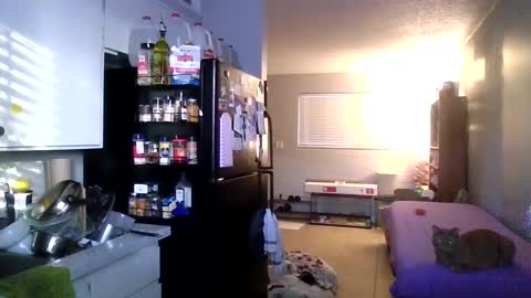 Snapshot of 2gorls1link chatting on 12-31-24, 03:31 2girls1link online show from 12-31-24, 03:31