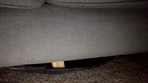 30nick online show from 02-25-26, 05:50