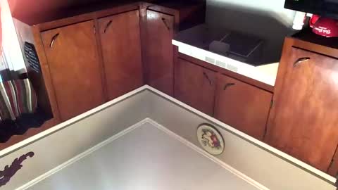 Snapshot of 33adidas chatting on 11-08-25, 11:54 33adidas online show from 11-08-25, 11:54