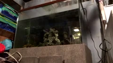 33adidas online show from 04-10-26, 08:19