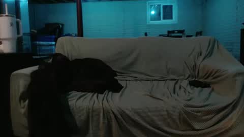 Snapshot of 420bunnie chatting on 02-26-25, 07:20 420bunnie online show from 02-26-25, 07:20