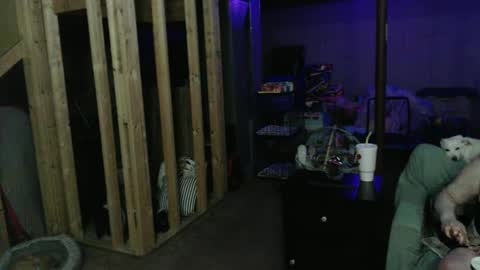 Snapshot of 420bunnie chatting on 03-01-25, 03:53 420bunnie online show from 03-01-25, 03:53