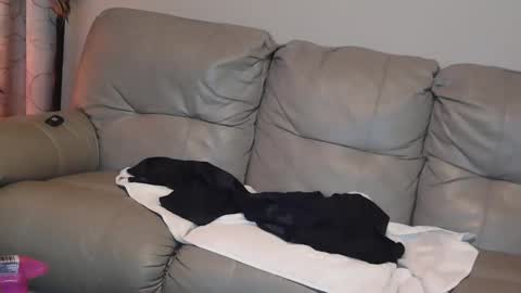 Jane online show from 01-01-25, 08:04