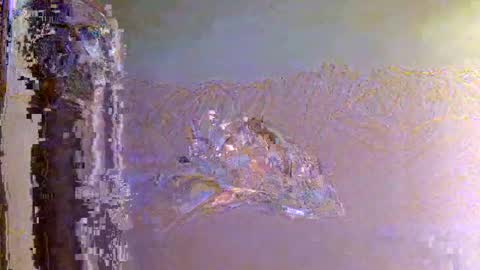 Zeus online show from 11-01-25, 06:15