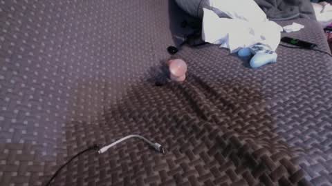 Snapshot of 69ass_tastic chatting on 03-02-25, 04:53 Chris online show from 03-02-25, 04:53