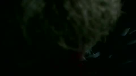 69sextoyboy69 online show from 12-23-25, 05:38