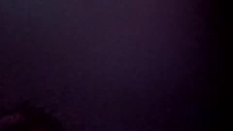 Snapshot of 7025554570b chatting on 11-11-25, 11:32 7025554570b online show from 11-11-25, 11:32