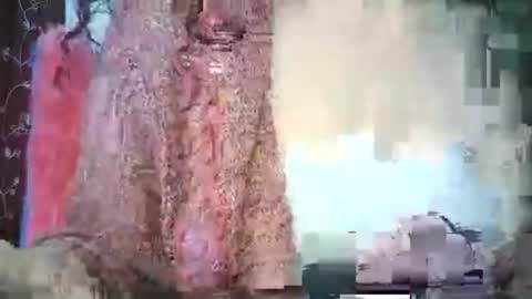 Lilu online show from 02-15-26, 09:41