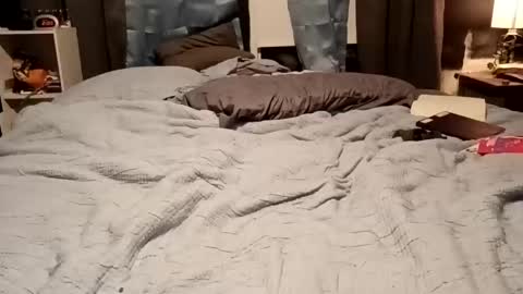 7lairddip online show from 02-15-26, 07:51