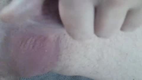 Snapshot of 81_harterschwanz chatting on 12-02-24, 06:20 Maximilian Max online show from 12-02-24, 06:20