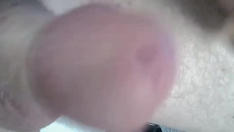 Snapshot of 81_harterschwanz chatting on 01-04-25, 03:07 Maximilian Max online show from 01-04-25, 03:07