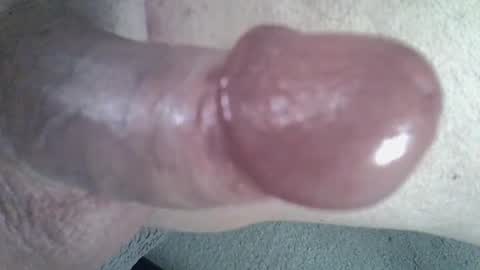 Snapshot of 81_harterschwanz chatting on 01-09-25, 08:11 Maximilian Max online show from 01-09-25, 08:11