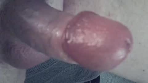 Snapshot of 81_harterschwanz chatting on 01-27-25, 07:03 Maximilian Max online show from 01-27-25, 07:03