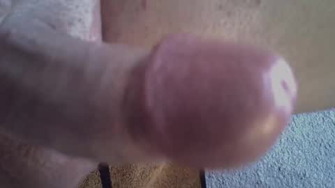 Snapshot of 81_harterschwanz chatting on 03-11-25, 11:55 Maximilian Max online show from 03-11-25, 11:55