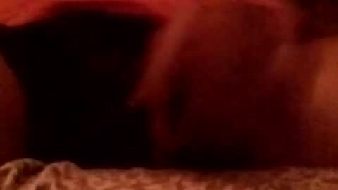 Snapshot of 8inchhardbr chatting on 02-23-26, 03:59 8inchhardbr online show from 02-23-26, 03:59