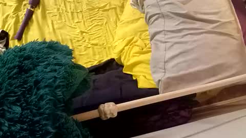 8intenn online show from 03-24-26, 04:17