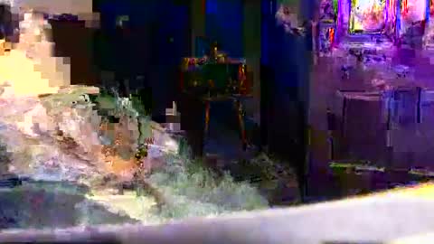 99ez99 online show from 01-16-26, 07:56