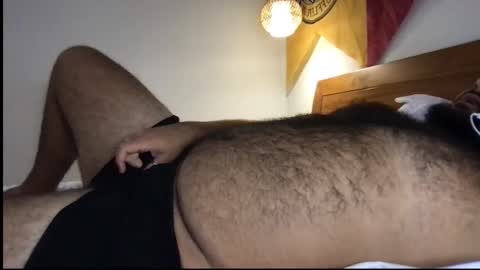 Snapshot of _alan_bear_ chatting on 06-02-26, 03:58 Alan online show from 06-02-26, 03:58