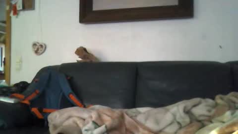 b0rn4porn online show from 04-27-26, 05:33