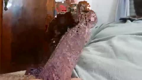 _black_horse_1 online show from 12-04-25, 02:43