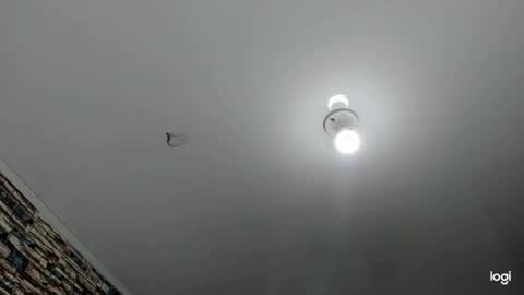 Snapshot of _casandra11 chatting on 01-23-25, 09:39 _casandra11 online show from 01-23-25, 09:39