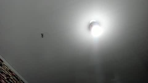 Snapshot of _casandra11 chatting on 02-17-25, 03:36 _casandra11 online show from 02-17-25, 03:36