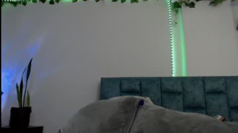 Dannia online show from 01-23-25, 07:51