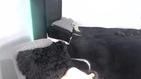 Proxy online show from 09-25-25, 02:15