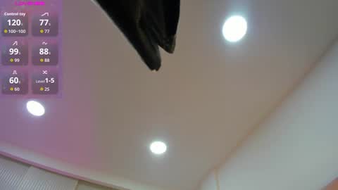 Snapshot of _jasmine_blush chatting on 06-13-26, 11:30 Jasmine online show from 06-13-26, 11:30