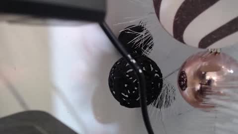 Snapshot of _kat_sweet chatting on 12-02-25, 03:12 Cata online show from 12-02-25, 03:12