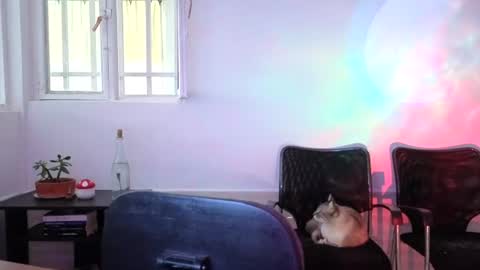 _lunablondie_ online show from 08-05-26, 02:31