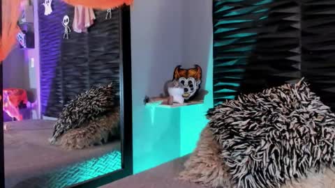 Snapshot of _lustyles_ chatting on 10-31-25, 04:02 _lustyles_ online show from 10-31-25, 04:02