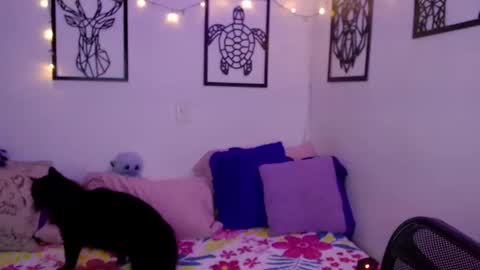 Marce  online show from 01-18-25, 12:57