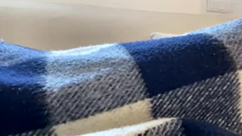 _muestroverga online show from 03-15-26, 07:03