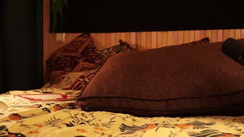 Snapshot of _northern_girl_ chatting on 01-21-25, 03:10 Lady Jess from house of Dragonborns online show from 01-21-25, 03:10