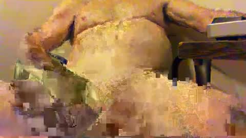  pervin  online show from 02-05-25, 02:51