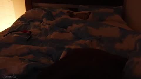 Lia online show from 09-09-25, 06:07