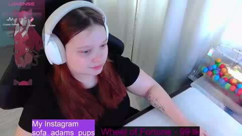 pups online show from 02-08-26, 10:18